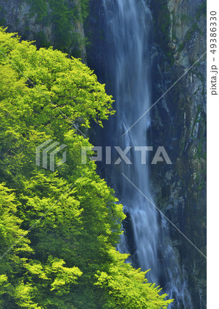 志賀高原　澗満滝 49386330