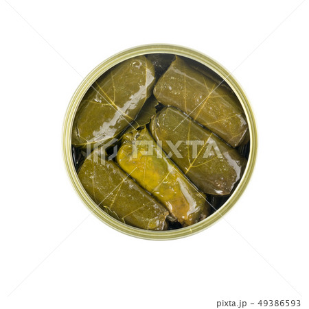 Traditional Turkish Dolma, Sarma or Dolmades Top Traditional Turkish Dolma, Sarma or Dolmades Top 49386593