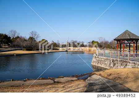 平成の森公園　修景池　川島町 49389452