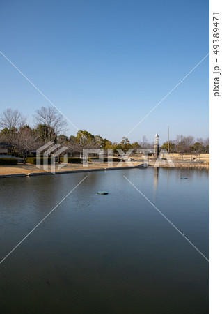平成の森公園 修景池 川島町 平成の森公園 修景池 川島町 49389471