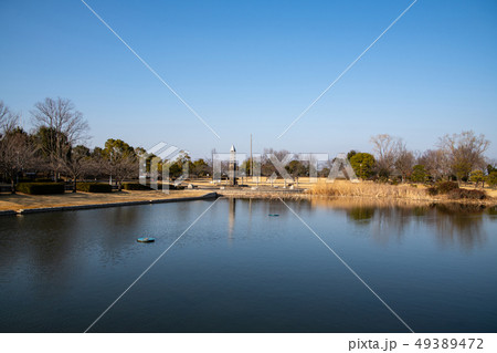 平成の森公園　修景池　川島町 49389472