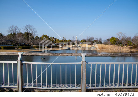 平成の森公園 修景池 川島町 平成の森公園 修景池 川島町 49389473