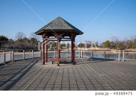 平成の森公園　修景池　川島町 49389475