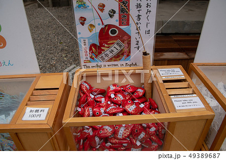 川越氷川神社　おみくじ　縁結びの神　安産祈願 49389687