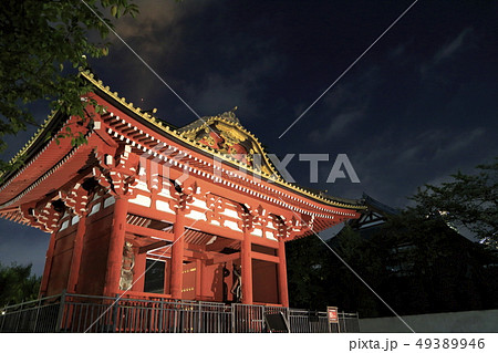 増上寺のライトアップ　「台徳院霊廟惣門」　東京都港区 49389946
