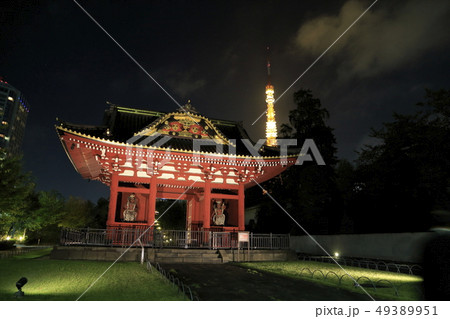増上寺のライトアップ　「台徳院霊廟惣門」　東京都港区 49389951