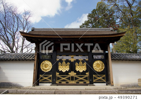 醍醐寺　三宝院唐門 49390271