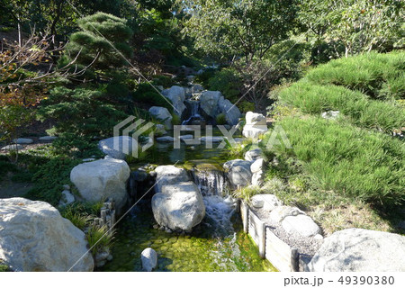 バルボアパーク 姉妹都市友好 日本庭園の渓流 バルボアパーク 姉妹都市友好 日本庭園の渓流 49390380