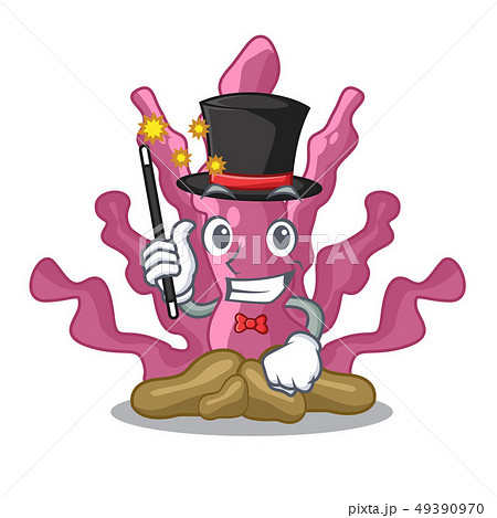 Magician pink seaweed in the mascot aquarium Magician pink seaweed in the mascot aquarium 49390970