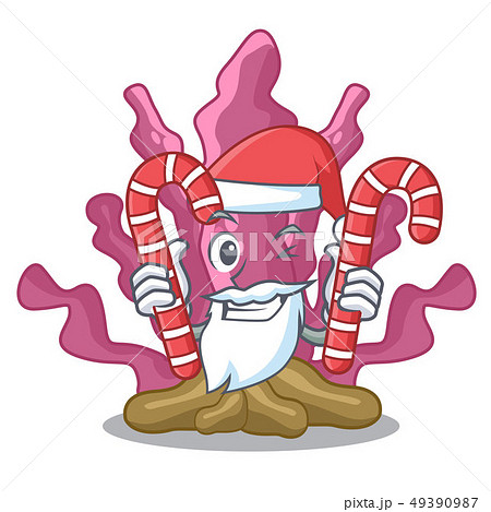Santa with candy pink seaweed in the mascot aquarium 49390987