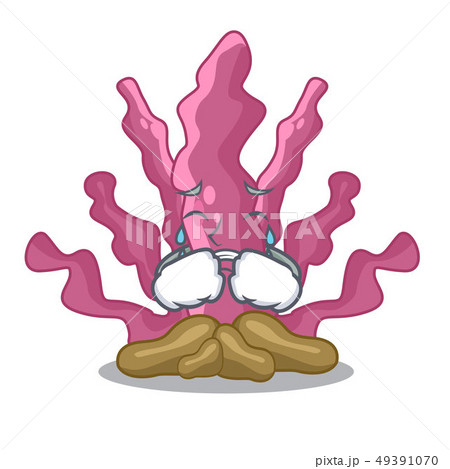 Crying pink seaweed isolated in the cartoon Crying pink seaweed isolated in the cartoon 49391070