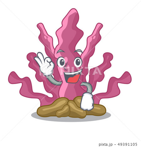 Okay pink seaweed cartoons under the sea 49391105