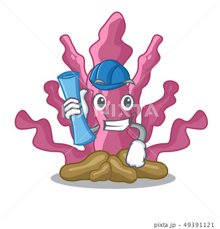 Architect pink seaweed cartoons under the sea Architect pink seaweed cartoons under the sea 49391121