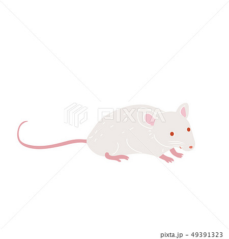 はつかねずみ イラストのイラスト素材