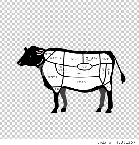 牛肉 部位 イラストのイラスト素材