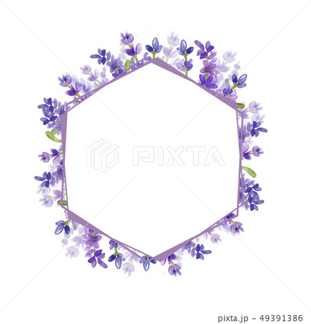 枠 フレーム イラスト 49391386