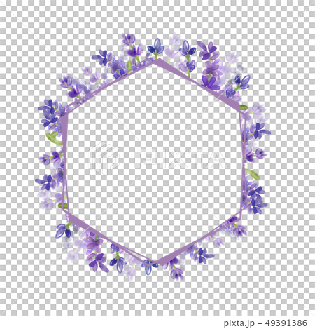 Lavender floral frame.- Wedding, advertisement, cover Lavender floral frame.- Wedding, advertisement, cover 49391386