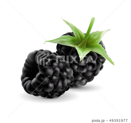 Sweet blackberries on the transprent background. 49391977