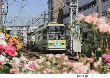 都電荒川線 荒川車庫前のバラ電車 49392862