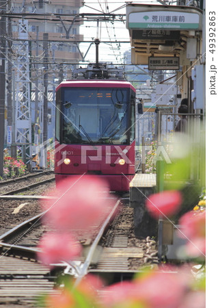 都電荒川線 荒川車庫前のバラ電車の写真素材