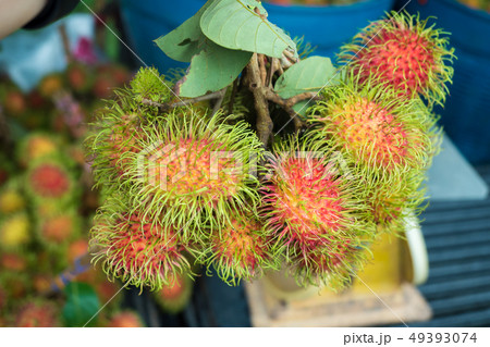 fresh Rambutans fruit fresh Rambutans fruit 49393074