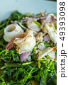 Vegetable fern spicy seafood salad 49393098