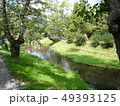 昼の小川 49393125