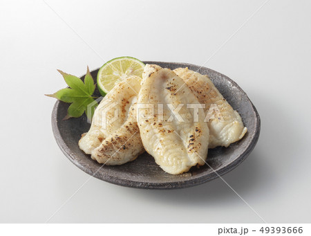 ふぐの一夜干し 49393666