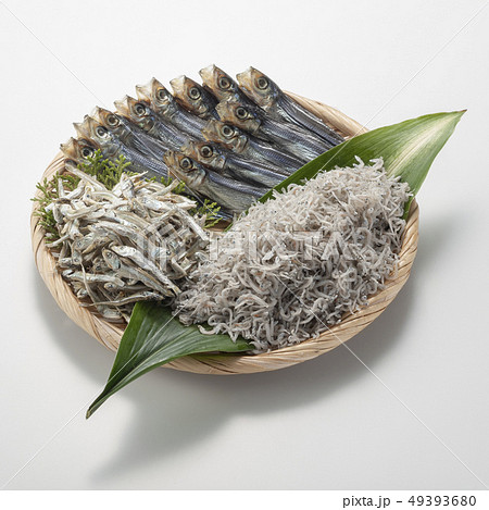 ちりめん　煮干し　うるめ干し 49393680