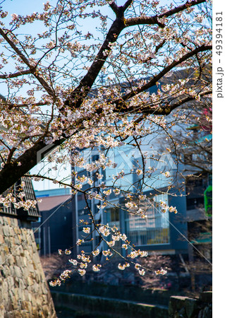 アジア人 アジアン アジア風 49394181