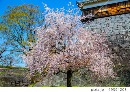 アジア人 アジアン アジア風 49394203