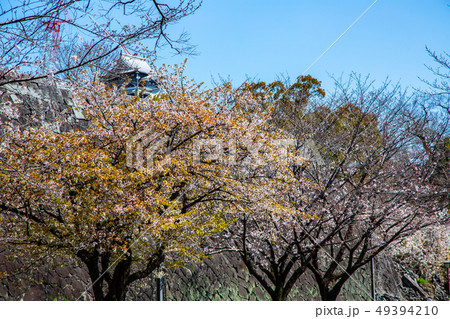 アジア人 アジアン アジア風 49394210