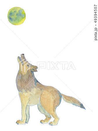 おおかみ　水彩 49394507