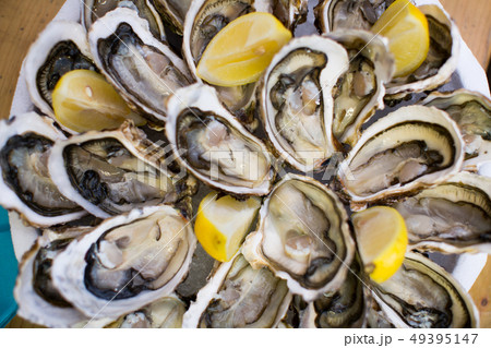 oysters close up oysters close up 49395147