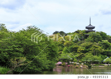三溪園 三溪園 49395313
