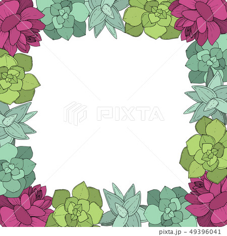 Vector Succulents floral botanical flower. Engraved ink art on white background. Frame border 49396041