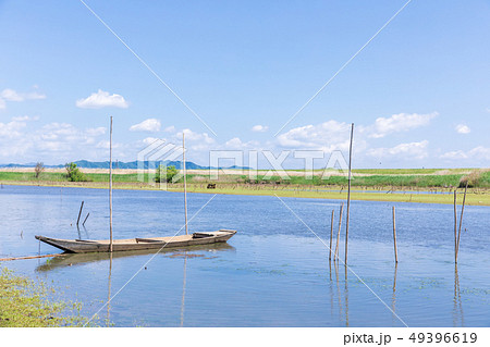 春の渡良瀬遊水地　第１調節池 49396619