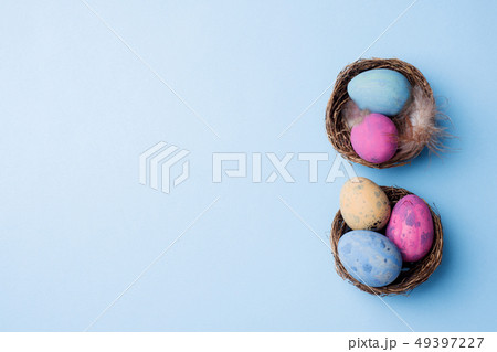 Colorful easter egg in the nest Colorful easter egg in the nest 49397227