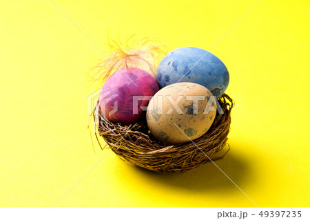 Colorful easter egg in the nest Colorful easter egg in the nest 49397235