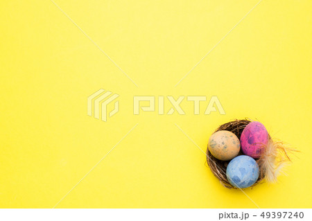 Colorful easter egg in the nest Colorful easter egg in the nest 49397240