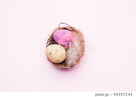 Colorful easter egg in the nest 49397242