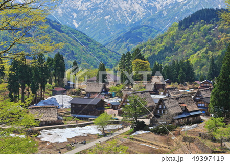 【富山県】新緑の五箇山相倉合掌集落 【富山県】新緑の五箇山相倉合掌集落 49397419