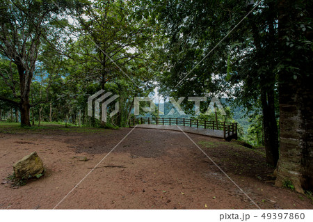 Asia, Khao Yai National Park, Natural Parkland, Asia, Khao Yai National Park, Natural Parkland, 49397860