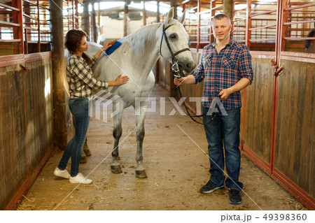 Couple of farmers cleaning horse while standing at stabling indoor Couple of farmers cleaning horse while standing at stabling indoor 49398360