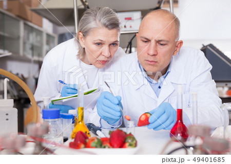 Scientists taking notes while checking agricultural products 49401685