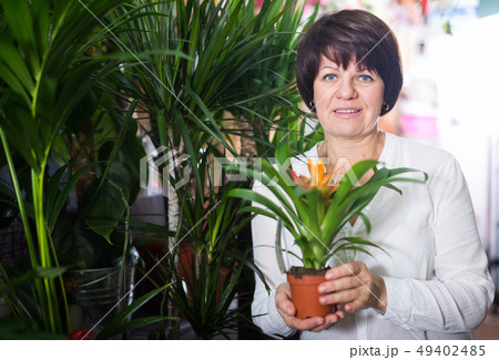 Customer choosing bromelia Customer choosing bromelia 49402485