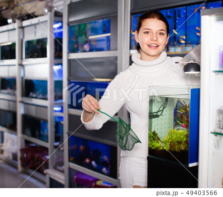 Girl with net and water container is going to catch juvenile fish from aquarium Girl with net and water container is going to catch juvenile fish from aquarium 49403566