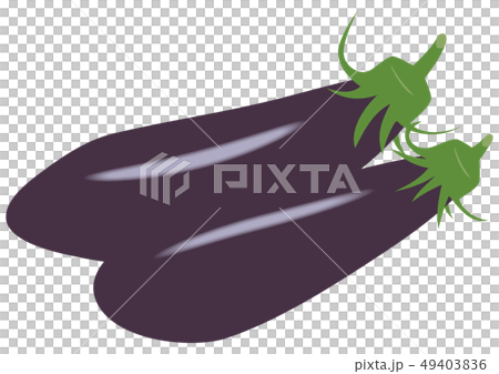Vector illustration vegetables health beauty agriculture food ingredients recipe gourmet eggplant eggplant eggplant 49403836