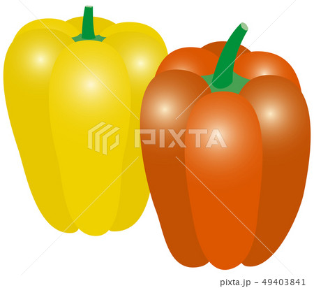 ベクター　イラスト　野菜　健康　美容　農業　食事　食材　レシピ　グルメ　パプリカ　ピーマン 49403841