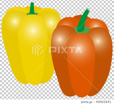 ベクター　イラスト　野菜　健康　美容　農業　食事　食材　レシピ　グルメ　パプリカ　ピーマン 49403841